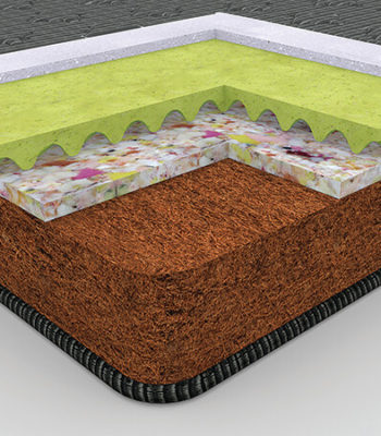 CENTUARY ORTHOACTIVE